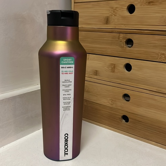 Gourde Isotherme Corkcicle Vinnebago – 25 Oz – Acier Inoxydable – Noire